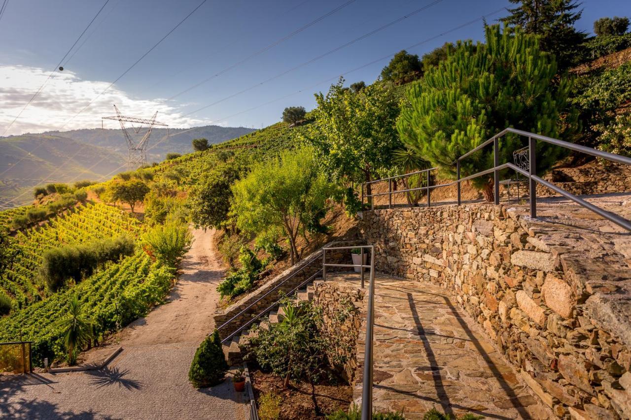 Quinta Da Portela Douro Armamar Ngoại thất bức ảnh
